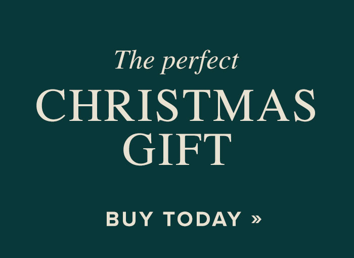 Christmas The Duck in the Pond Gift Card