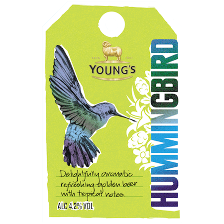 22-Youngs-Hummingbird.png