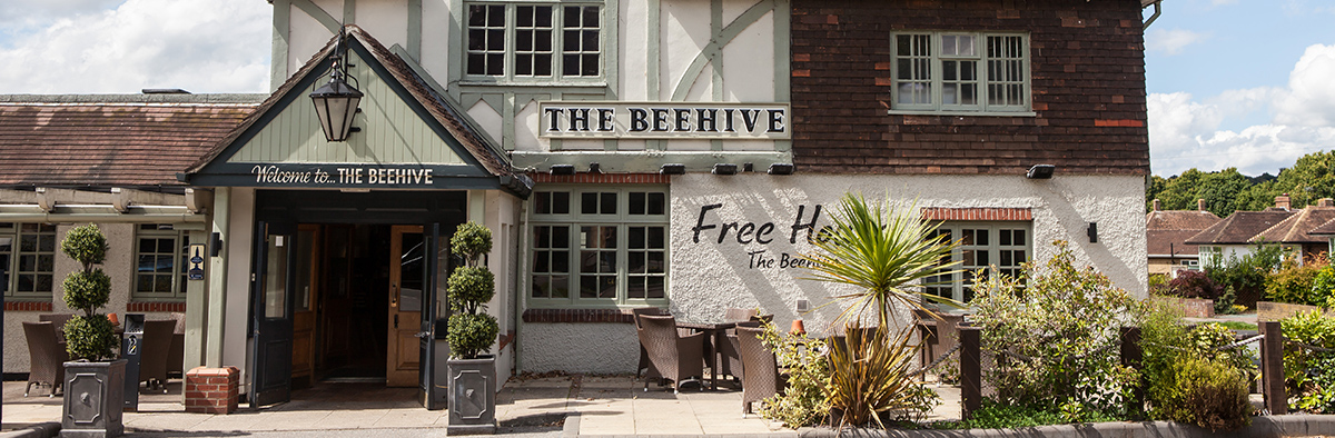 Welcome to The Beehive